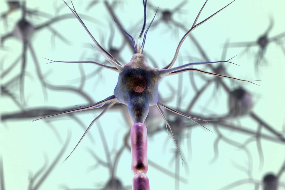Il cervello e la bellezza del paesaggio