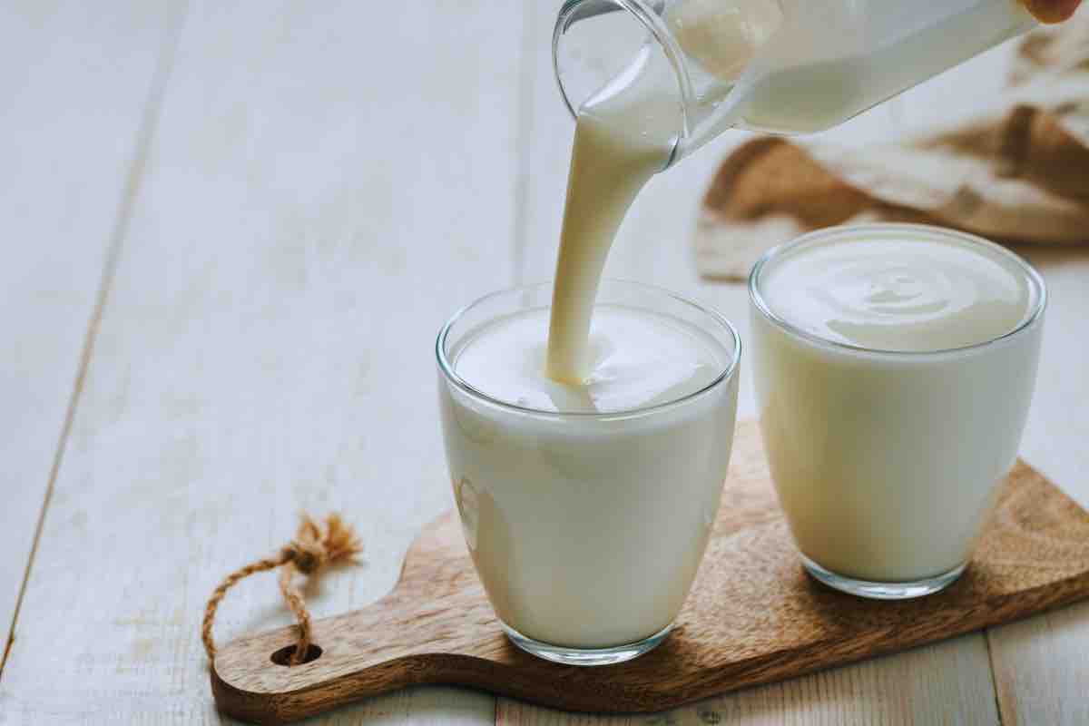 Il kefir